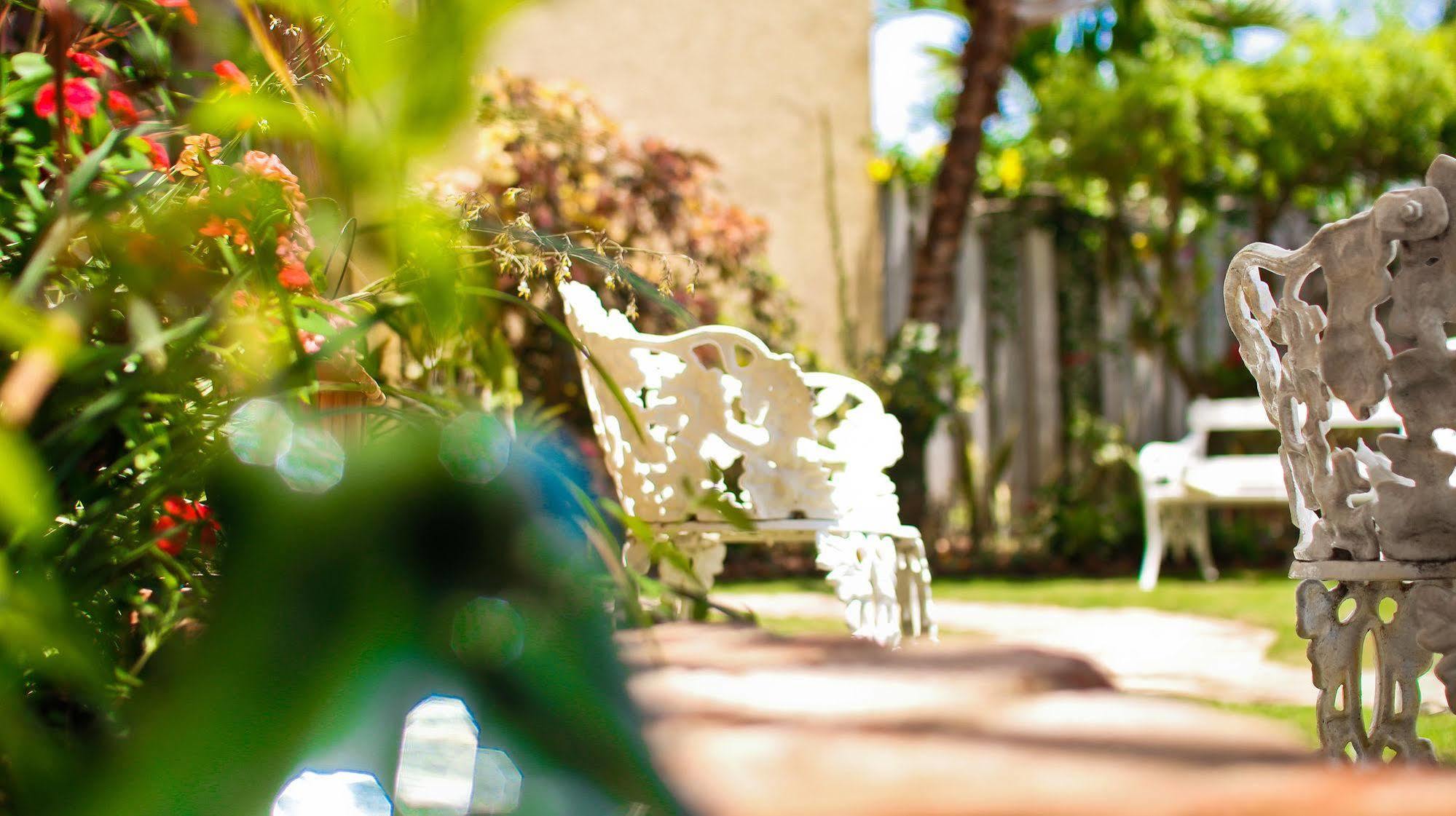 Cattleya Luxury Suites Kingston Kültér fotó