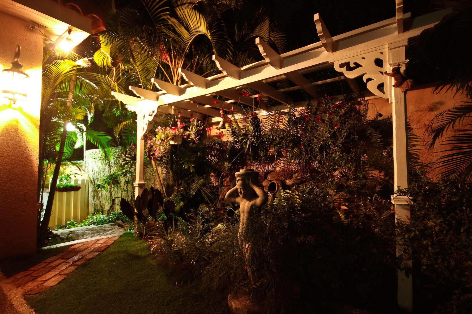 Cattleya Luxury Suites Kingston Kültér fotó