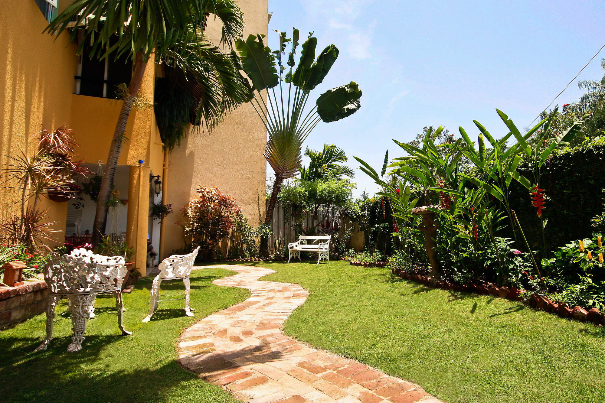 Cattleya Luxury Suites Kingston Kültér fotó