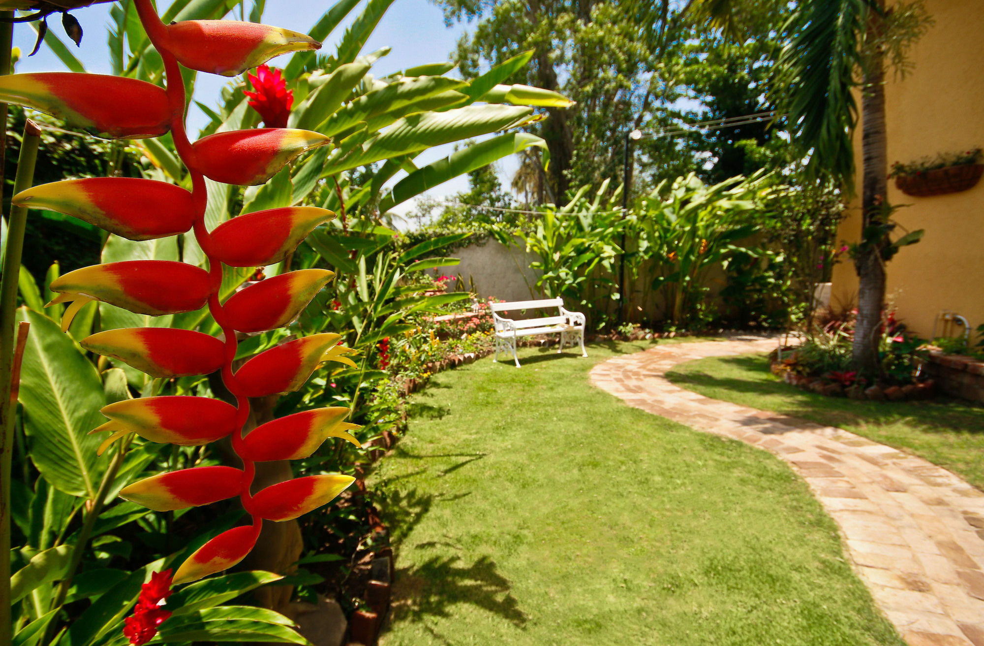 Cattleya Luxury Suites Kingston Kültér fotó